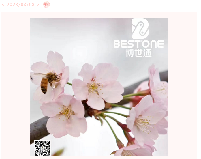 爱游戏（ayx）体育官方网站祝大家女神节快乐